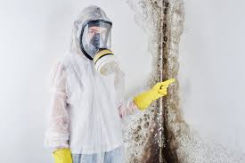 Environmental Consulting for Mold Prevention in Coralville, IA